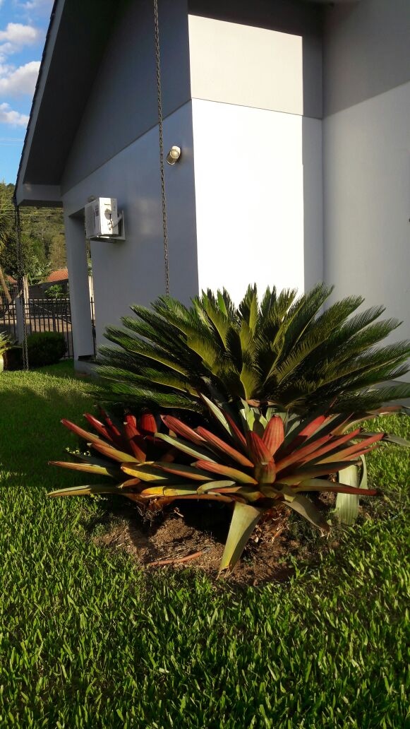 Fotos do imóvel Linda Casa de Esquina Nova Hartz Bairro das Rosas - Sparrenberger Imóveis