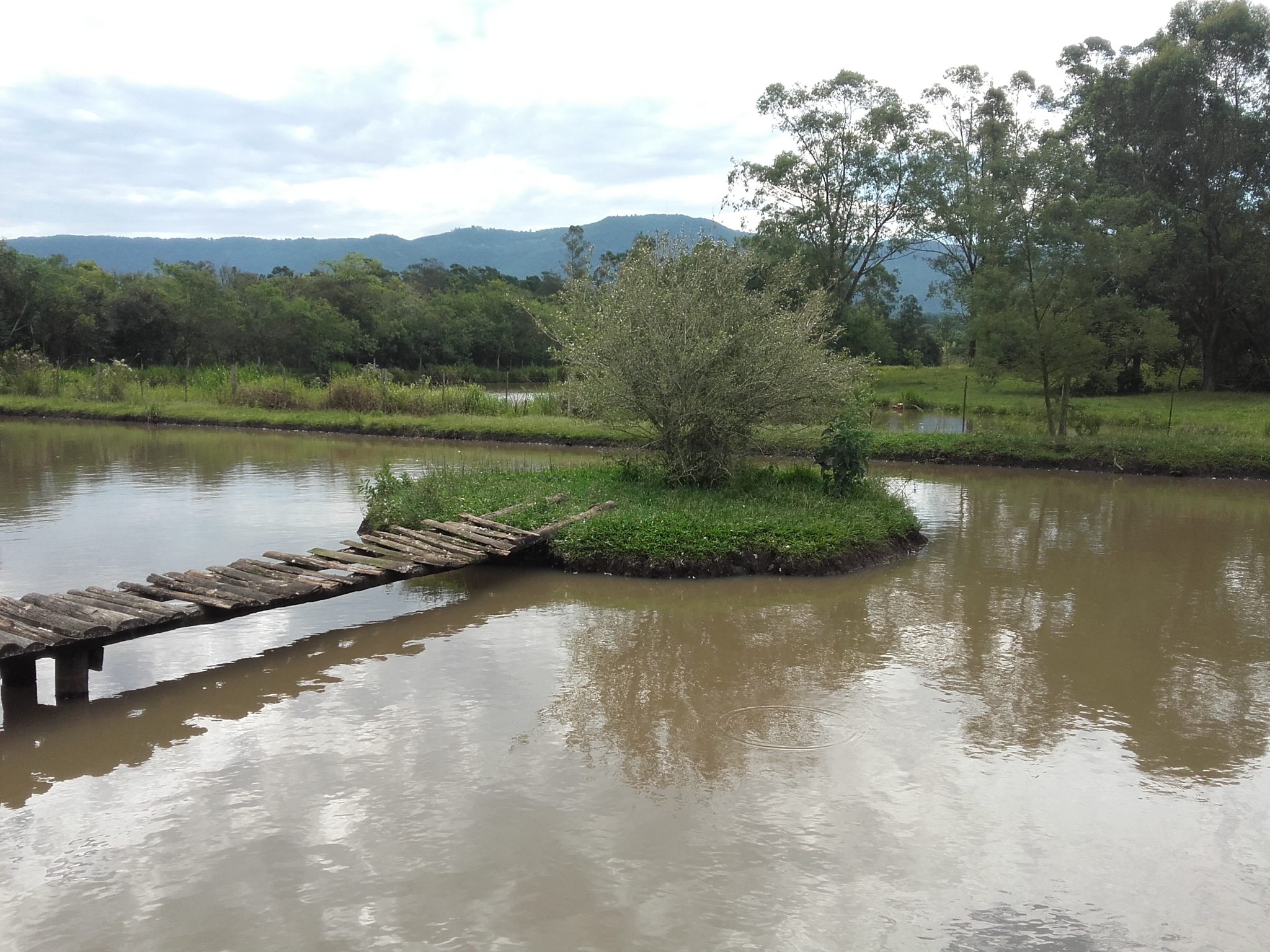 Fotos do imóvel Vendo belo Baita em Nova Hartz - Sparrenberger Imóveis