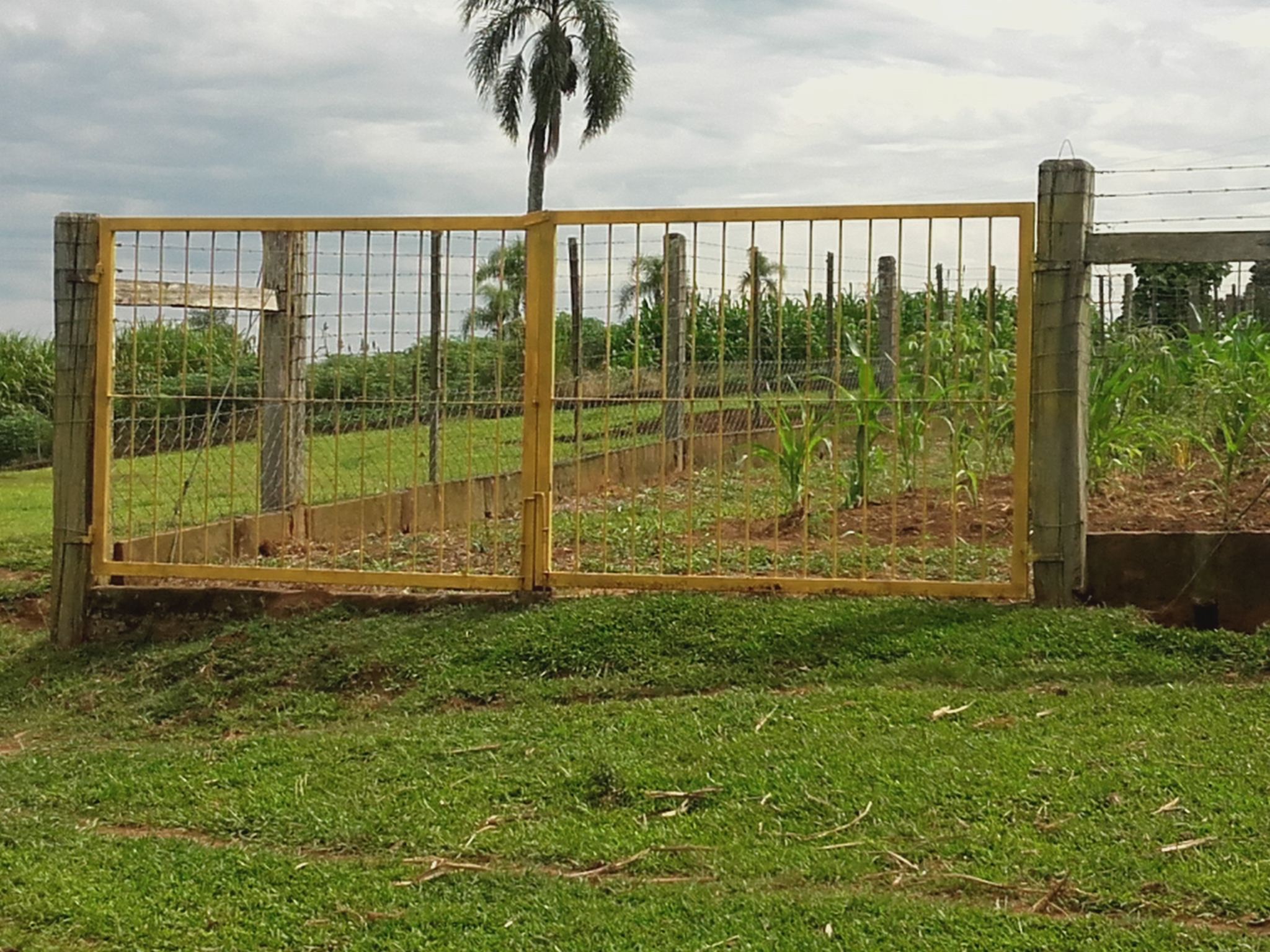 Fotos do imóvel Vendo belo Baita em Nova Hartz - Sparrenberger Imóveis