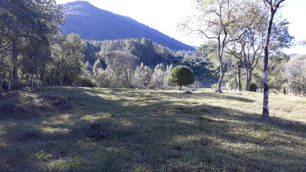 Fotos do imóvel Vendo chácara em Nova Hartz - Sparrenberger Imóveis