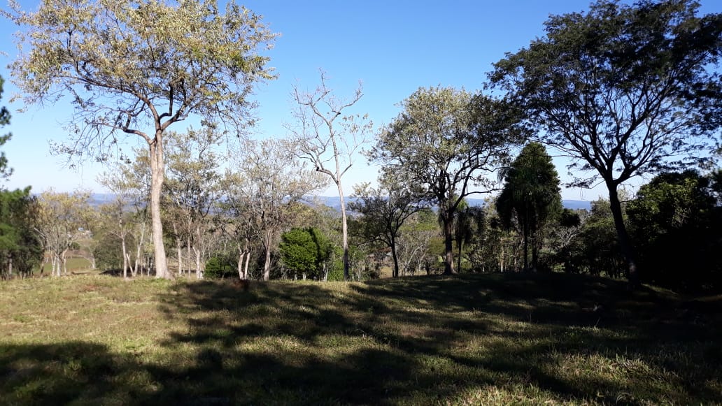 Fotos do imóvel Vendo chácara em Nova Hartz - Sparrenberger Imóveis