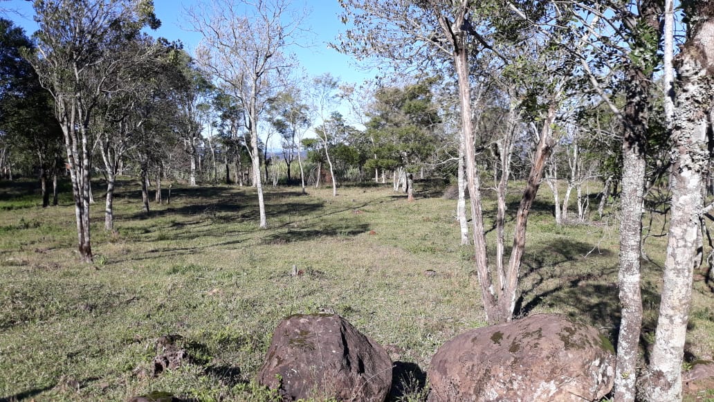 Fotos do imóvel Vendo chácara em Nova Hartz - Sparrenberger Imóveis