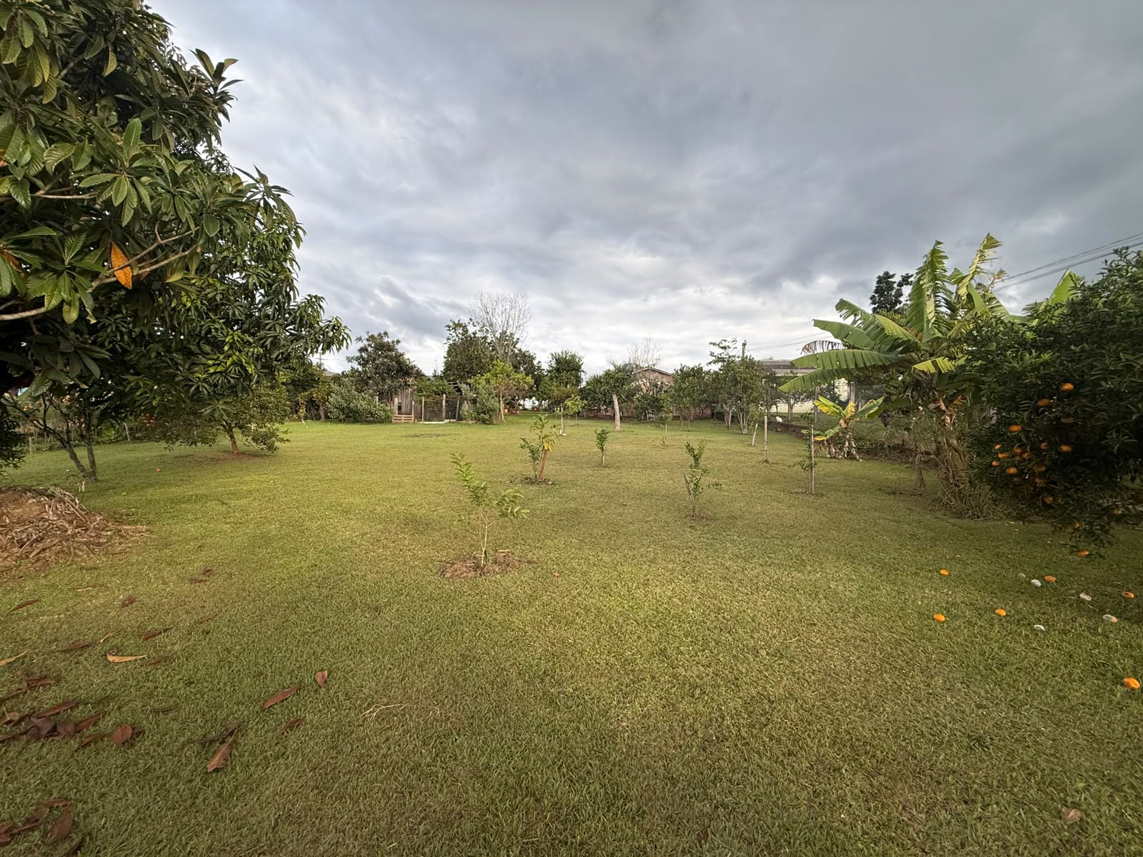 Fotos do imóvel Vende-se Propriedade próxima a RS-239 - Sparrenberger Imóveis